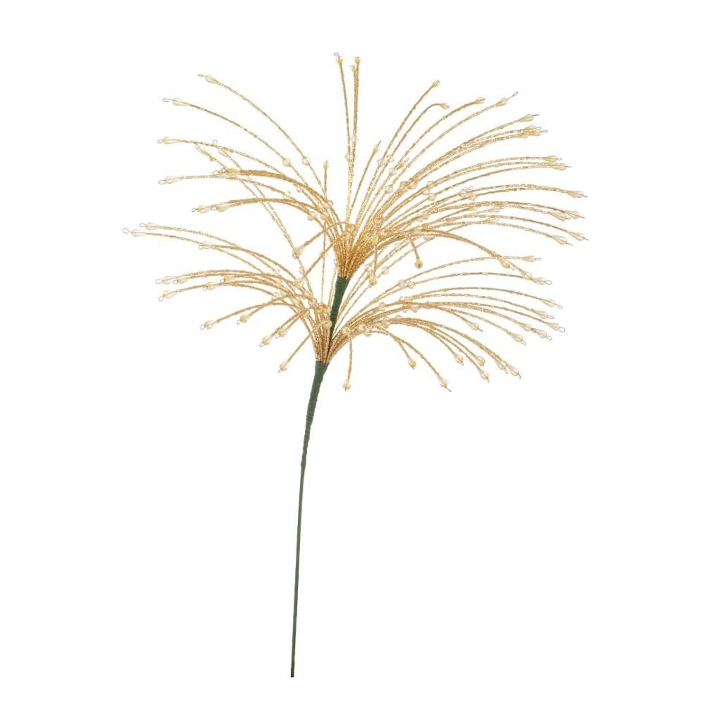 RAMO ZACARY ORO H.63